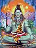 shiva5_1237383301.jpg